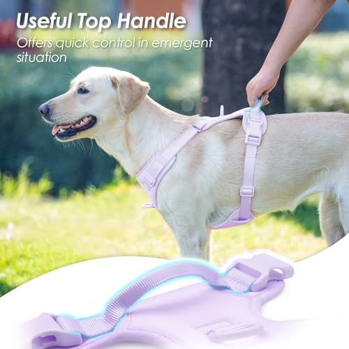 Sunraymascota No Pull Dog Harness