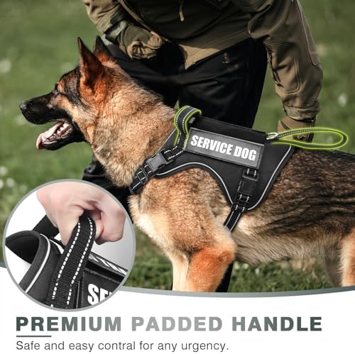 WINSEE Tactical Dog Harness, No Pull Dog Harness