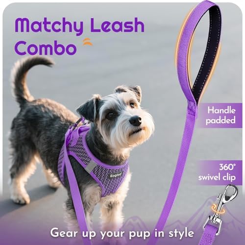 Eagloo Small Dog Harness and Leash Set, Step in Medium Small Puppy Pet Vest