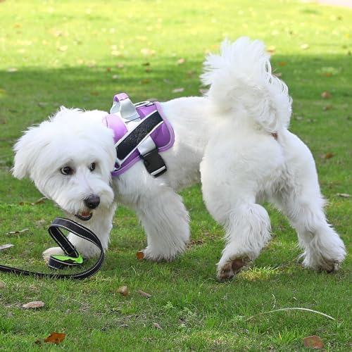 Bolux Dog Harness, No-Pull Reflective Dog Vest, Breathable Adjustable Pet