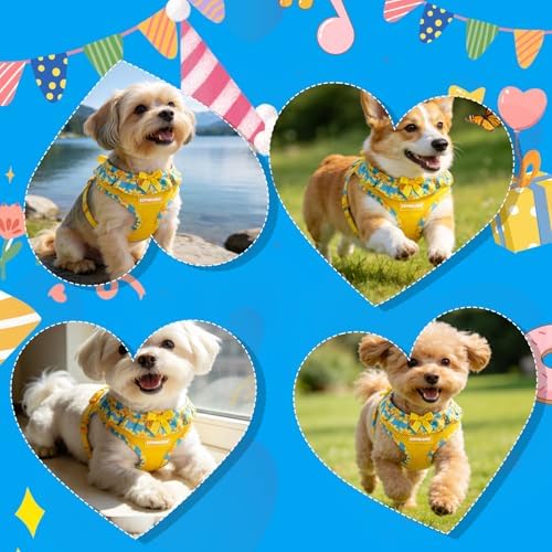EXPAWLORER Step-in Dog Harness Small Sized and Leash Set