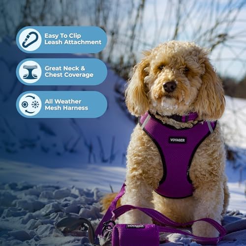 Voyager Step-in Air Dog Vest Harness