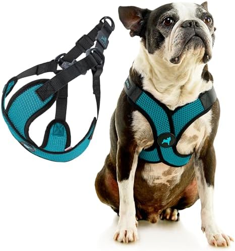 Gooby Comfort X Step-in Lite Harness, Choke-Free