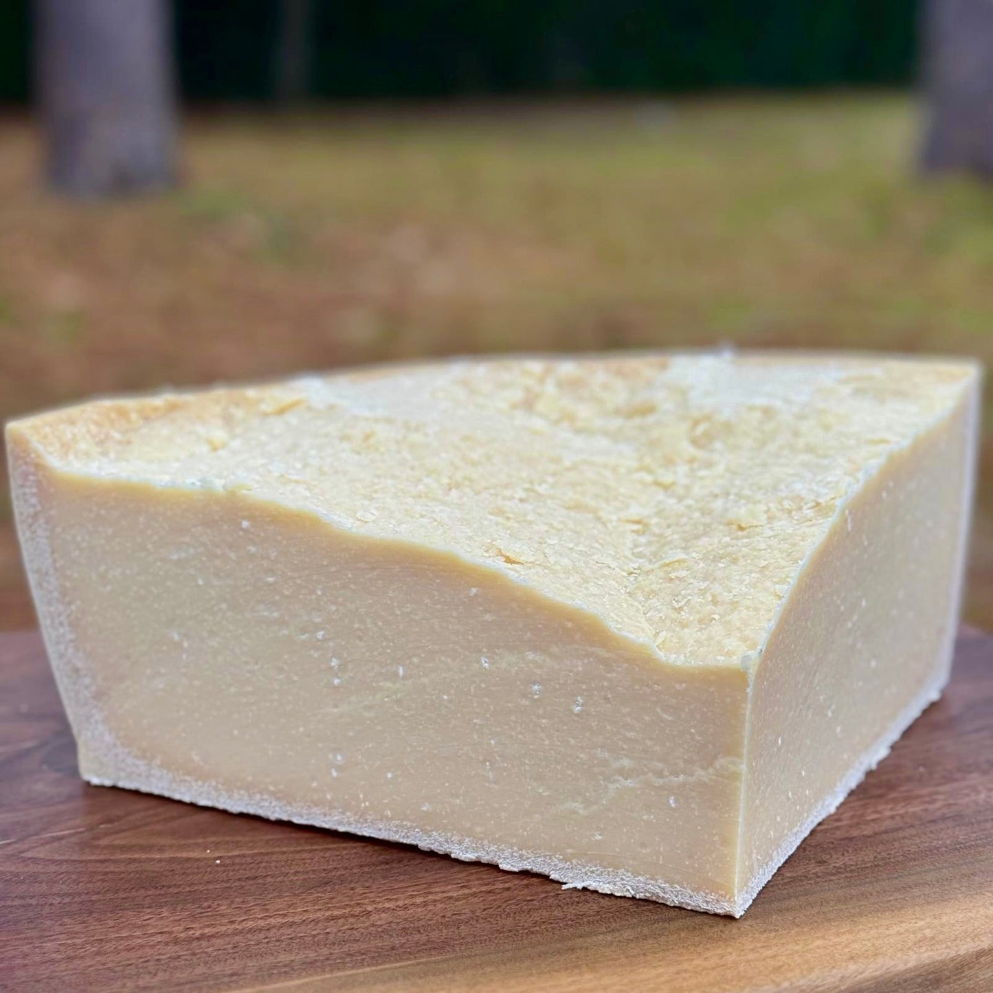 10lb cut of Parmigiano Reggiano | Aged 26+ months