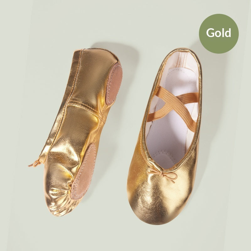 Soft-soled Practice PU Leather Cat-claw Gold And Silver Dance Shoes
