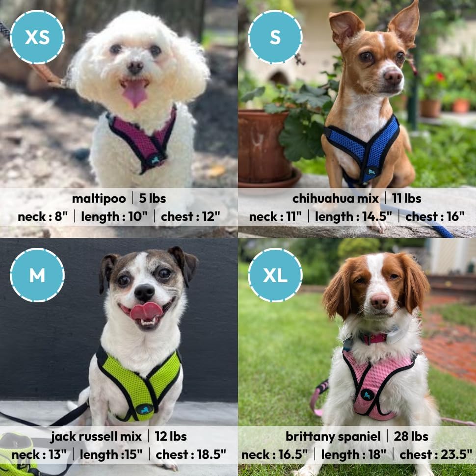 Gooby Comfort X Step-in Lite Harness, Choke-Free