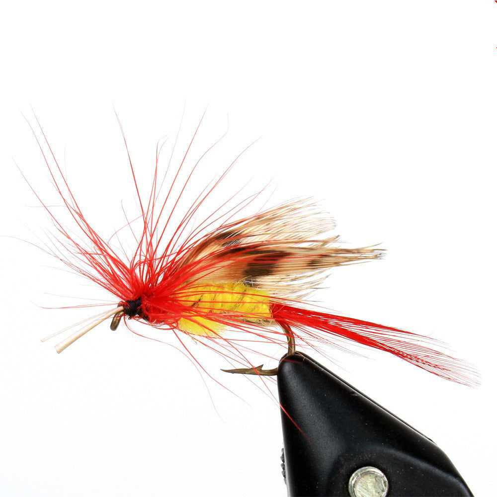 Fishing Gear  Bait Set