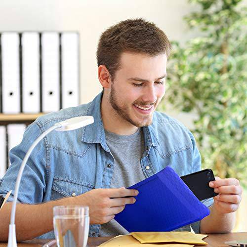6x10 Bubble Mailer  #0 | Usable Size 6x9"| Royal Blue