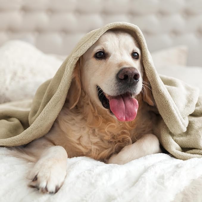 BEDELITE Fleece Blanket Soft Plush Throw