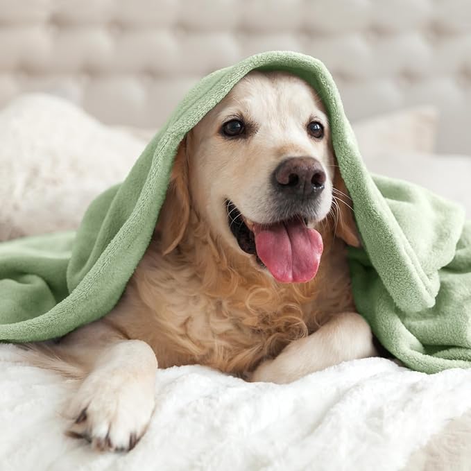 BEDELITE Fleece Blanket Soft Plush Throw