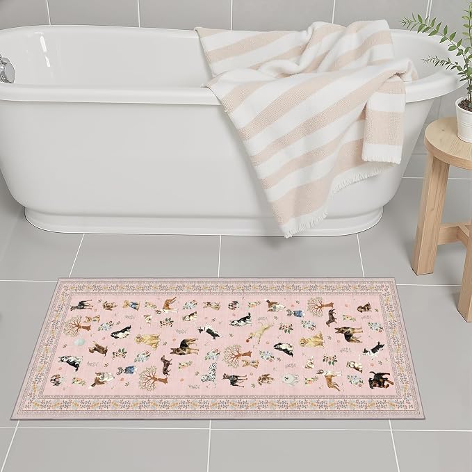 Pink Entry Rug 24x17inch Small Door Mat Runner
