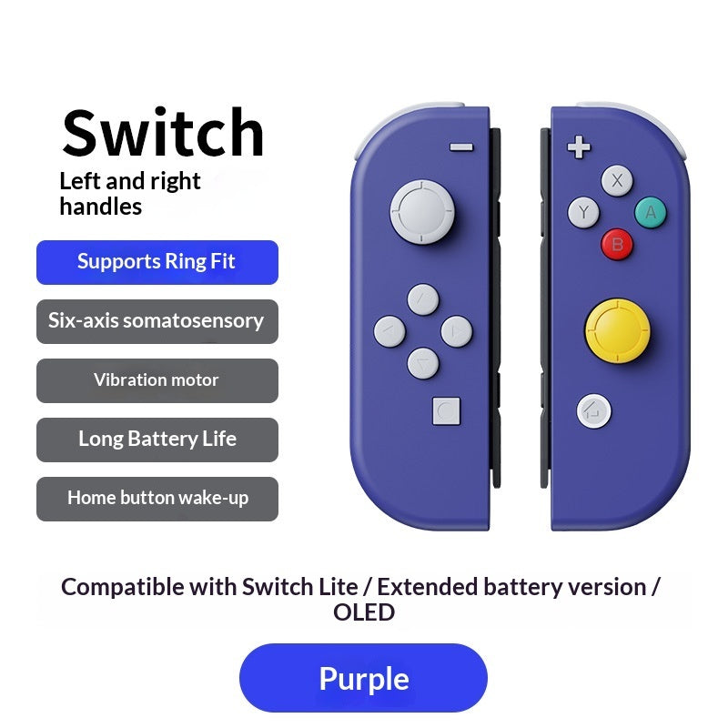 Console Gamepad NS Dual Gamepad With Hand Rope
