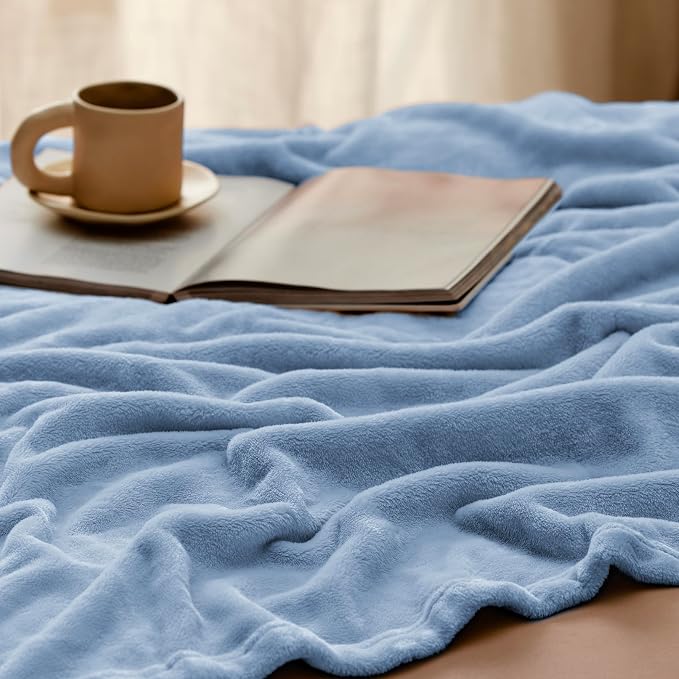 Bedsure GentleSoft Fleece Bed Blankets Queen Size Light Blue