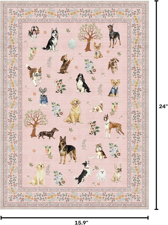 Pink Entry Rug 24x17inch Small Door Mat Runner
