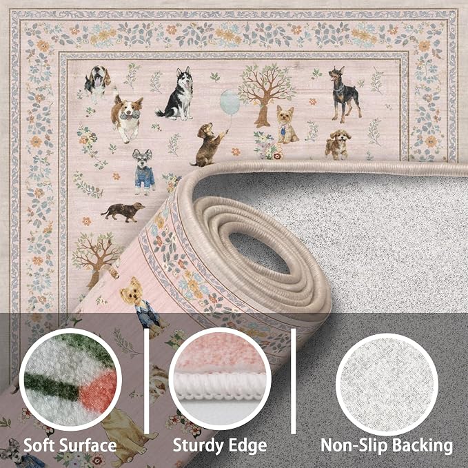 Pink Entry Rug 24x17inch Small Door Mat Runner