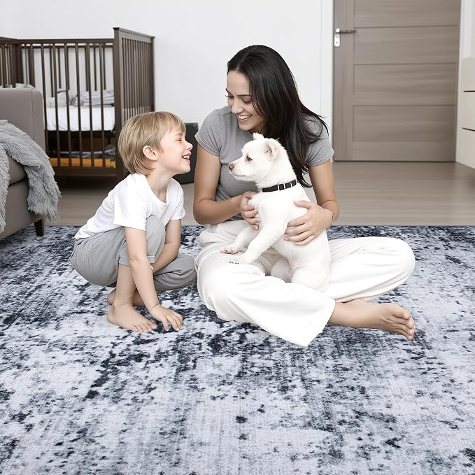 Area Rug Living Room: 4x6 Modern Washable Indoor Carpet Black |