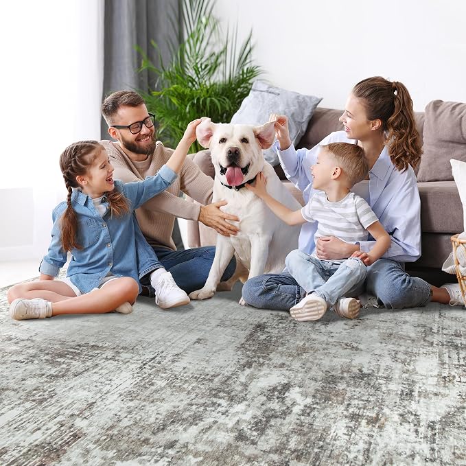 Aelenmu 10x14 Area Rugs for Living Room Dining Room Washable Brown Grey | Soft