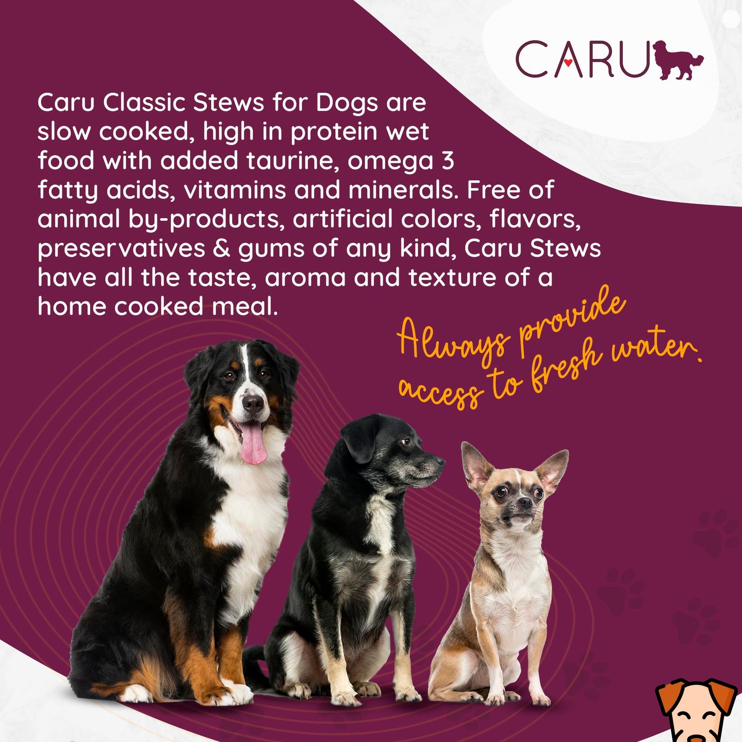 BestBy01/26 Caru Classics Chicken Stew Wet Dog Food 12oz Case of 12