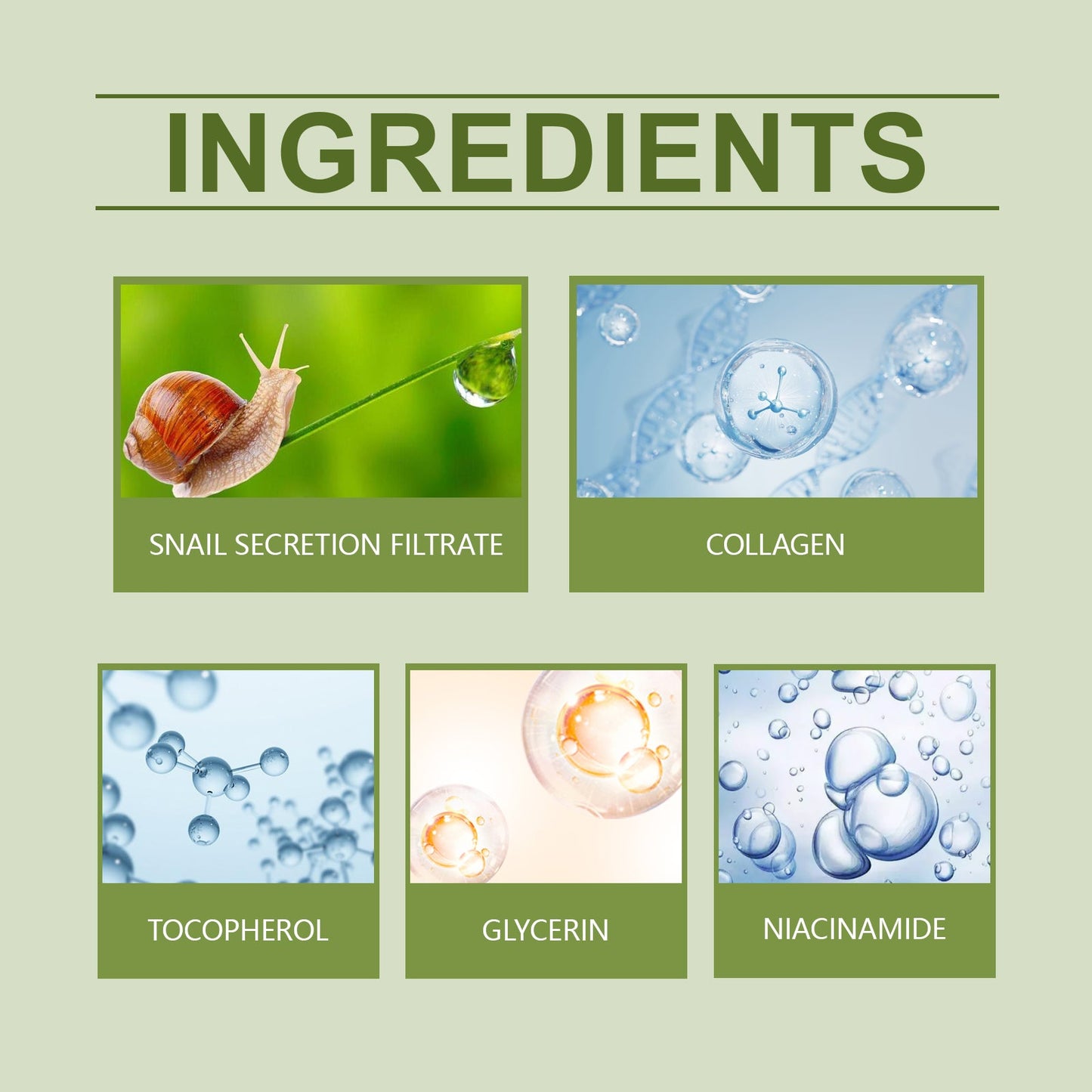 Green Tea Moisturizing Face Cream Gloss Oil Control Clean Balance Skin Moisturizing Moisturizing Skincare Set