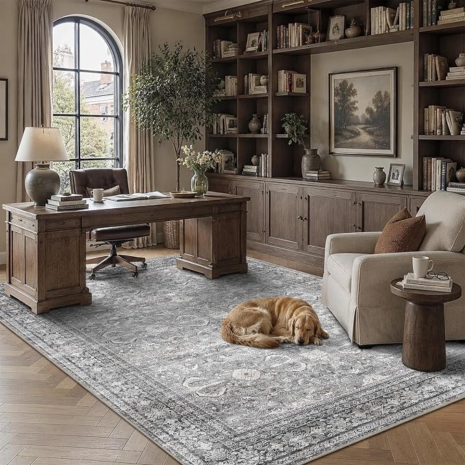 Schweek Grey 5x7 Area Rug for Living Room Washable Vintage Neutral Rugs | Non