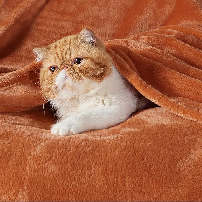 Bedsure GentleSoft Orange Fleece Blanket King Size