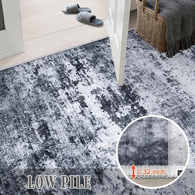 Area Rug Living Room: 4x6 Modern Washable Indoor Carpet Black |