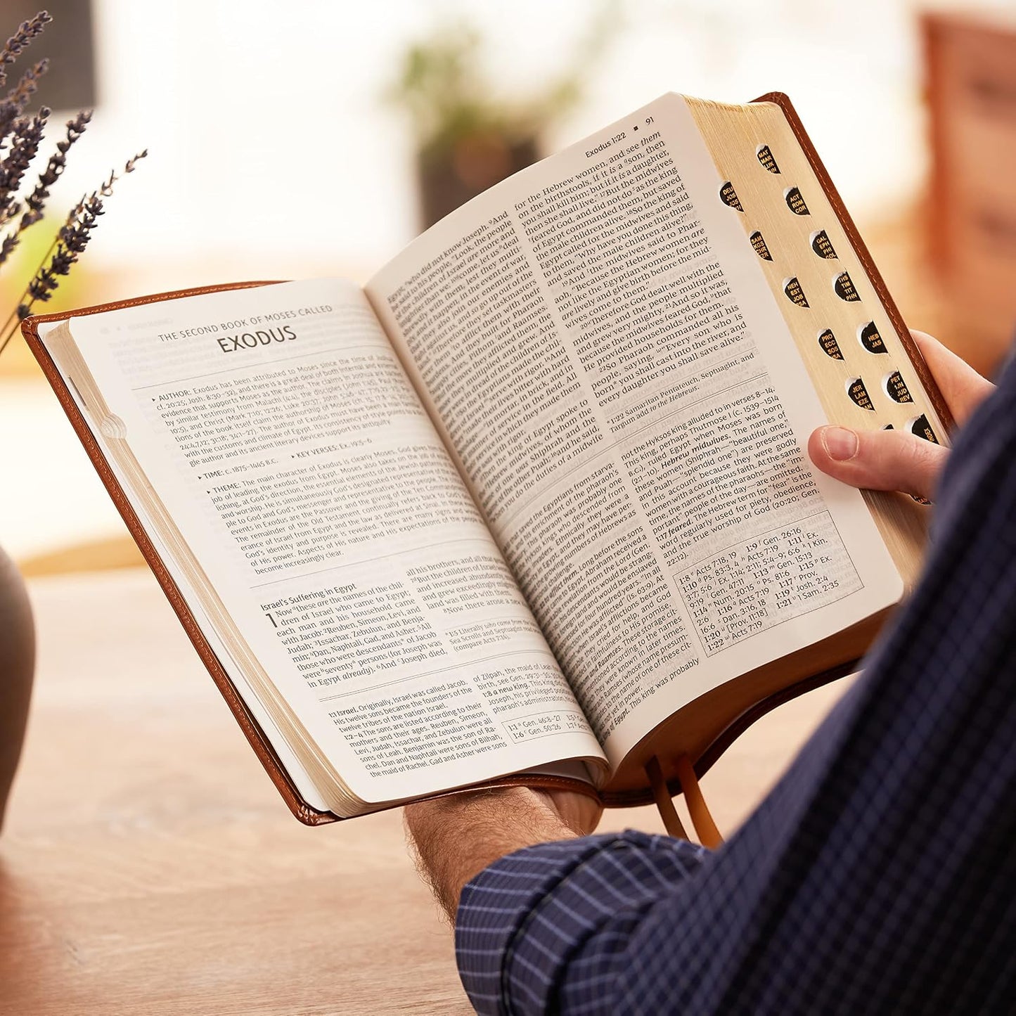 NKJV, Foundation Study Bible, Large Print, Leathersoft, Brown, Red Letter, Thumb Indexed, Comfort Print: Holy Bible, New King James Version