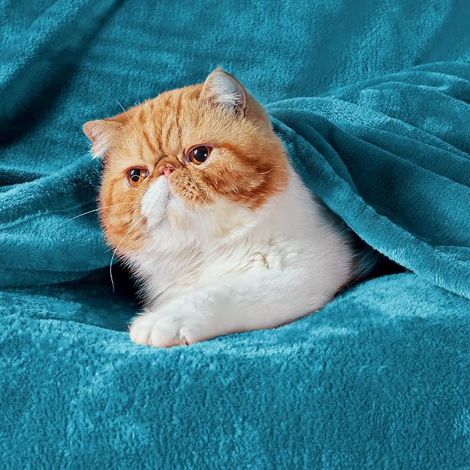 Bedsure Teal Blue Fleece Blanket 50x70 Blanket