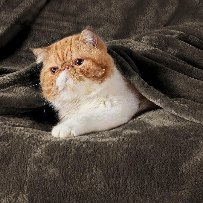 Bedsure GentleSoft Fleece Blanket Twin Size Brown