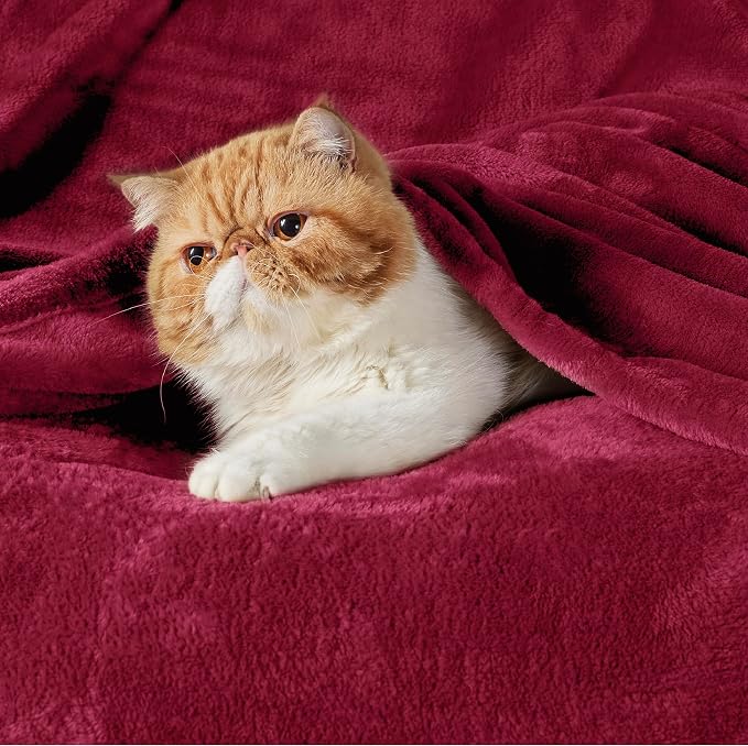 Bedsure GentleSoft Fleece Throw Blanket Red