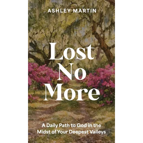 Lost No More: A Daily Path to God in the Midst of Your Deepest Valleys