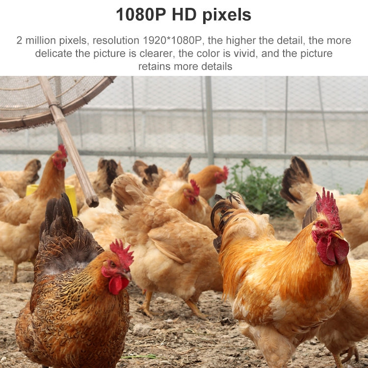 QX5 4G (US Version) 2.0 Million Pixels 1080P HD 20X Zoom Dome Smart Camera, Support Infrared Night Vision / Motion Detection / Voice Intercom / TF Card, US Plug