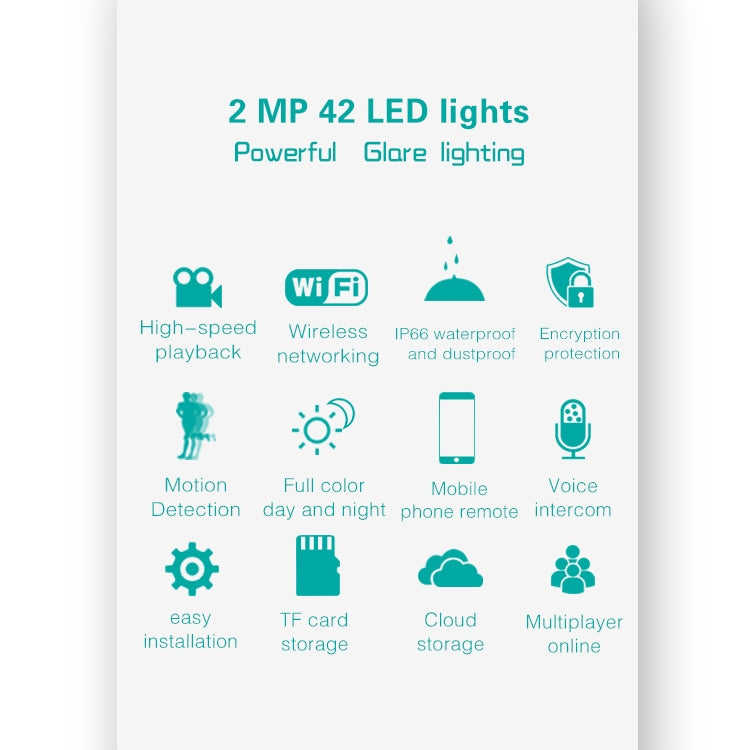 DP16 2.0 Megapixel 42 LEDs Garden Light Smart Camera, Support Motion Detection / Night Vision / Voice Intercom / TF Card, AU Plug