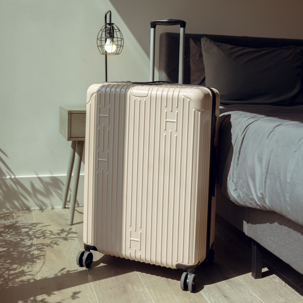 Check-In Luggage