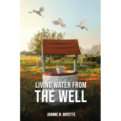 Living Water from the Well