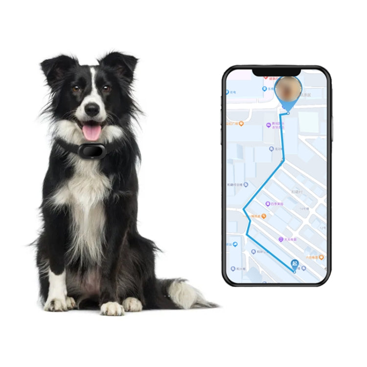 V41 Smart GPS Tracker IP67 Waterproof Pet Anti-loss Positioner, Version:4G Version-B for North & South America(Black)
