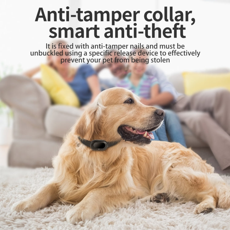 V41 Smart GPS Tracker IP67 Waterproof Pet Anti-loss Positioner, Version:4G Version-B for North & South America(Black)