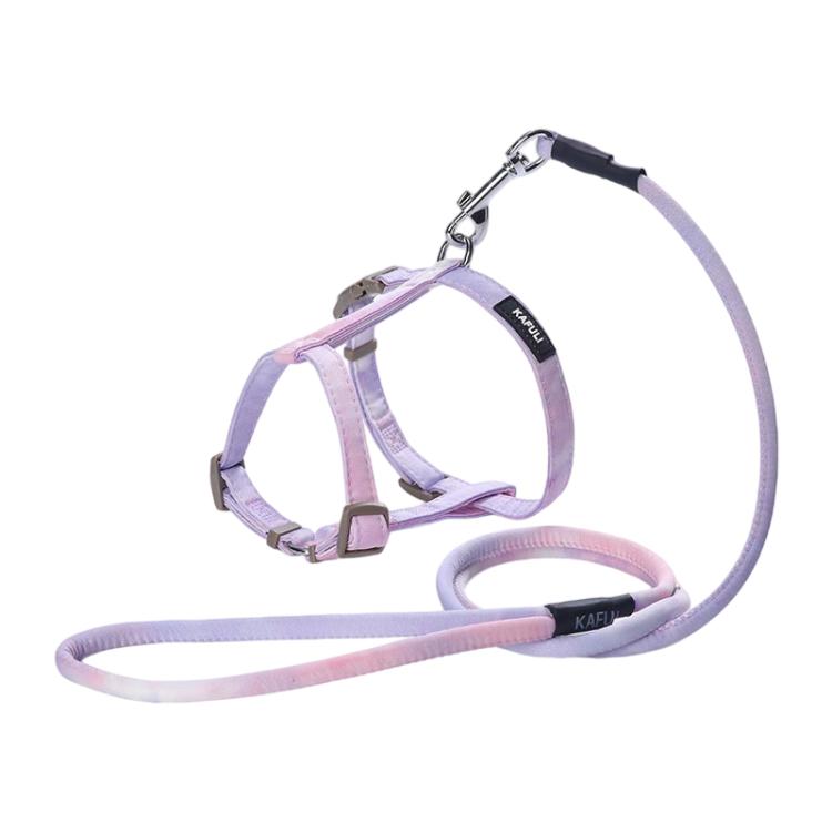 Adjustable Pet Harness & Leash Set for Small Dogs & Cats, S, M