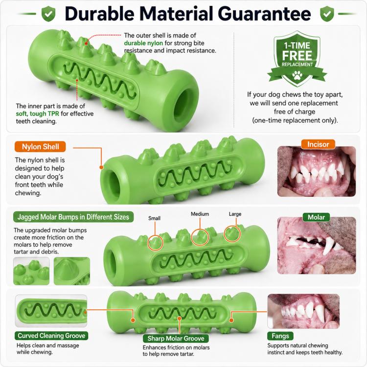 Dog Chewable Bone Shaped Teething Toy
