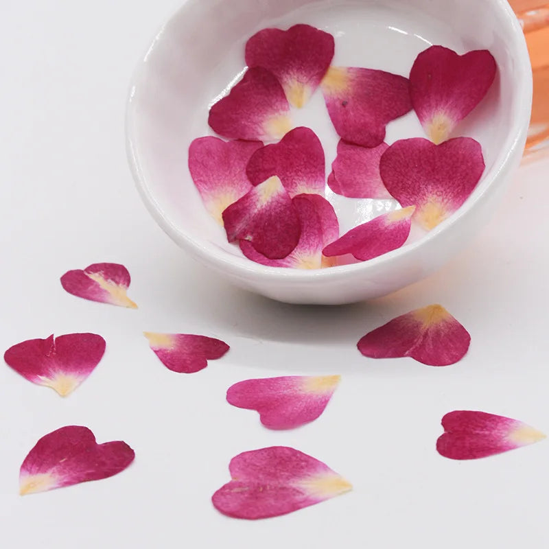 100pcs 1cm Heart Shape Pressed Dried Rose Flower Petals For Jewelry Bookmark Photo Frame Phone Case Postcard Making
