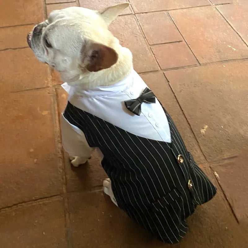Dog Gentleman Wedding Suit Clothes Formal Shirt Pet Outfit Halloween Christmas Dog Costume For Small Dogs Bowtie Tuxedo