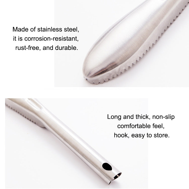 Kitchen Essential Stainless Steel Bidirectional Sawtooth Fish Scraper Fish Scale Planing Knife, 22.5x3cm