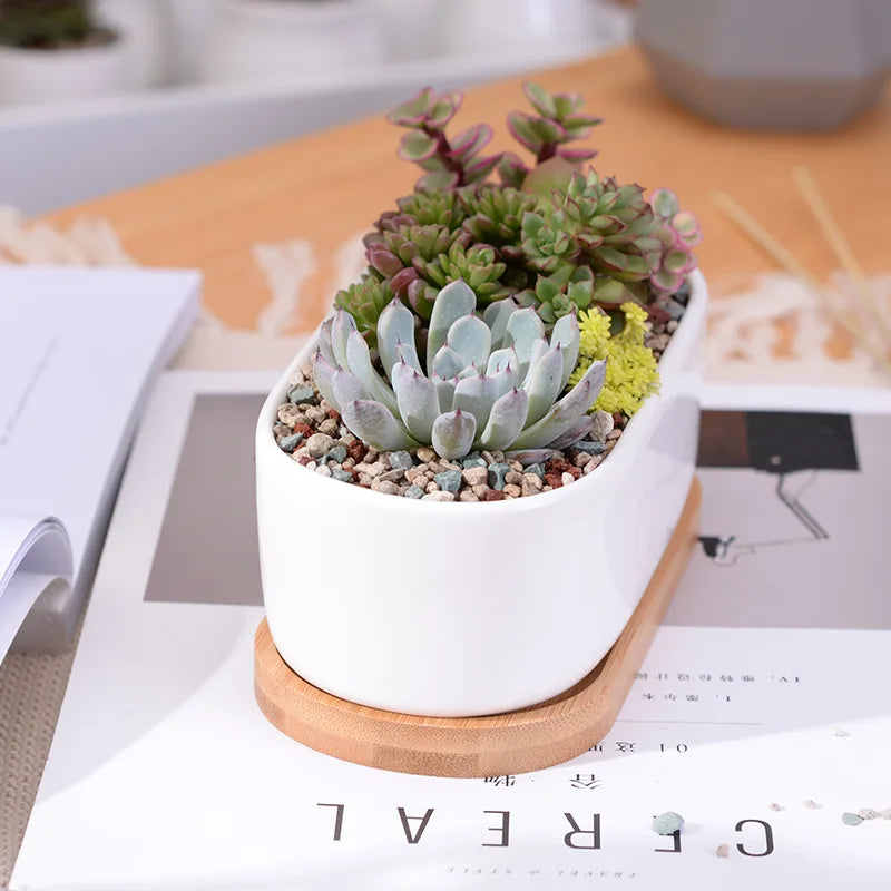 1 Set Minimalist White Ceramic Succulent Plant Pot Porcelain Planter Decorative Desktop Flowerpot Home Decor(1 Pot + 1 Tray)