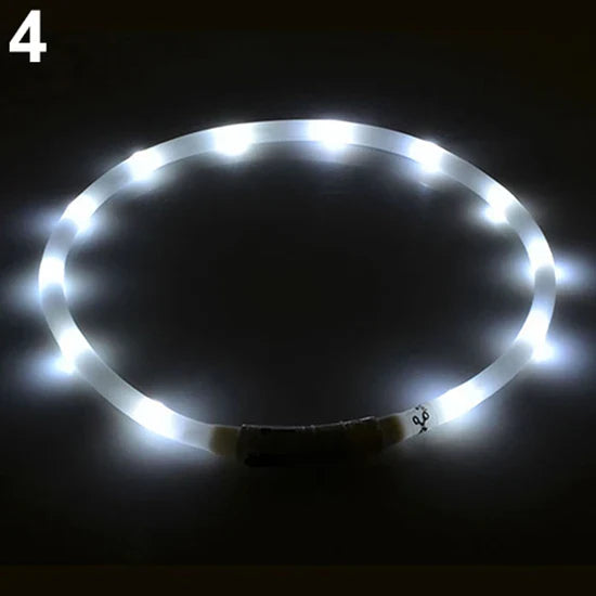 HOT SALE 70CM USB Rechargeable LED Flashing Light Band Glow Safety Belt Pet Cat Dog Puppy Collar PVC Water Resistant Pets Supply