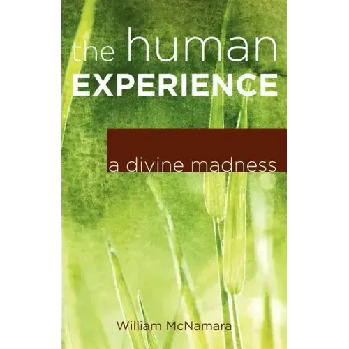 The Human Experience: A Divine Madness