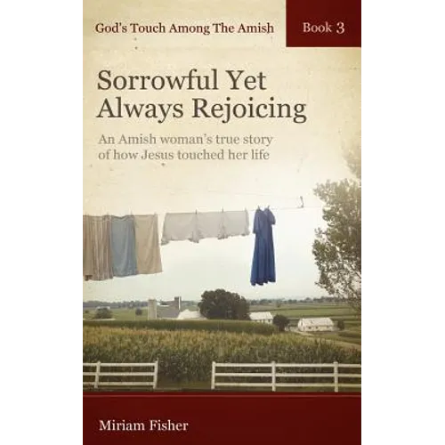 God's Touch Among The Amish Book 3