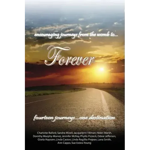 encouraging journeys from the womb to...Forever: fourteen journeys...one destination