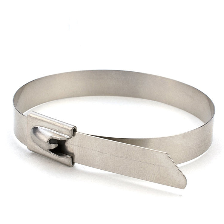 100 PCS 4.6x100mm Stainless Steel Metal Cable Ties Tie Zip Wrap Exhaust Heat Straps Induction Pipe, 4.6x100mm