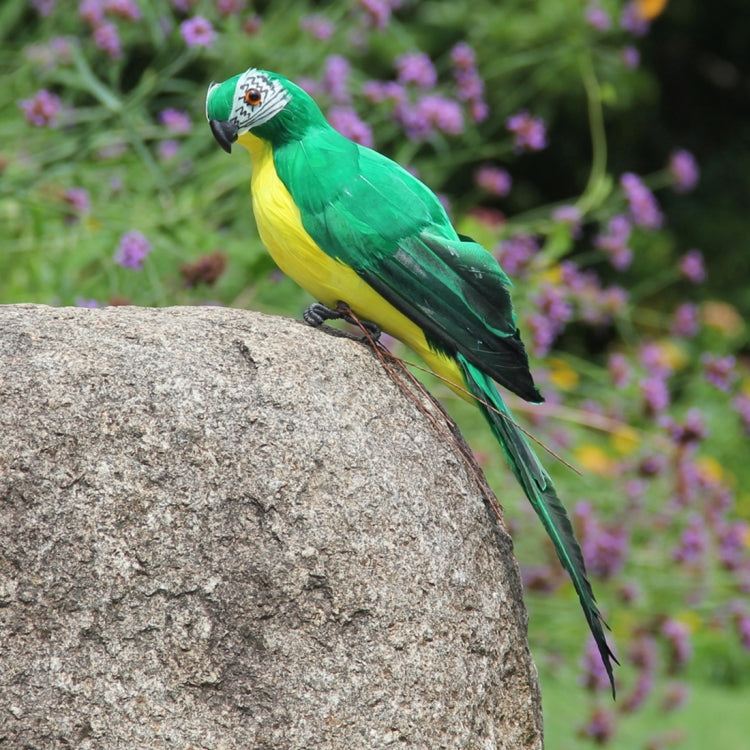 35cm Simulation Parrot Simulation Macaw Horticultural Decoration, 35cm (White), 35cm (Yellow), 35cm (Green), 35cm (Blue), 35cm (Red), 35cm (Rose Red)