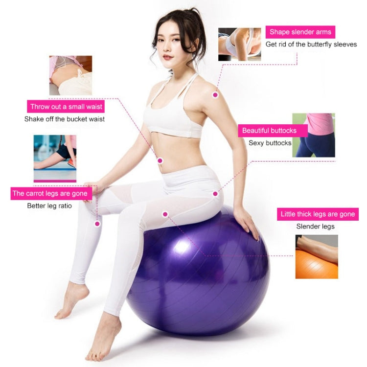 Thickening Explosion-proof Big Yoga Ball Sport Fitness Ball Environmental Pregnant Yoga Ball, Diameter: 65cm, 65cm(Purple), 65cm(Pink), 65cm(Blue)